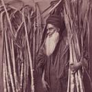 Sugar cane seller